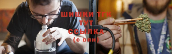 ПСИЛОЦИБИНОВЫЕ ГРИБЫ Рославль