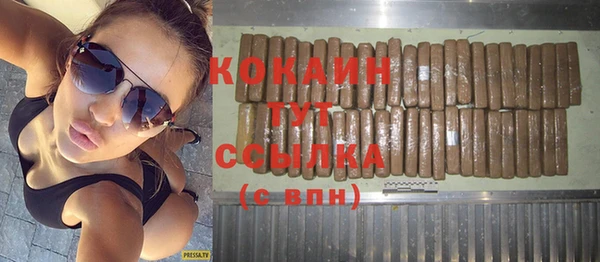 ПСИЛОЦИБИНОВЫЕ ГРИБЫ Рославль