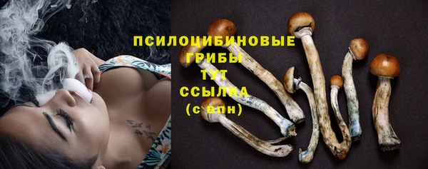 меф Саяногорск